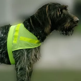 Hunde-Sicherheitsweste 3M Scotchlite