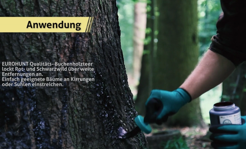 Anwendung: Buchenholzteer in der Dose mit Pinsel auftragen Bochenholzteer Anwendung